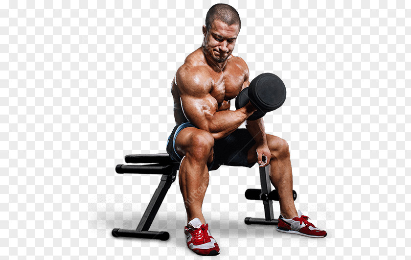 Private Personal TrainingDumbbell Fitness Centre Physical Exercise Trainer JH Training PNG