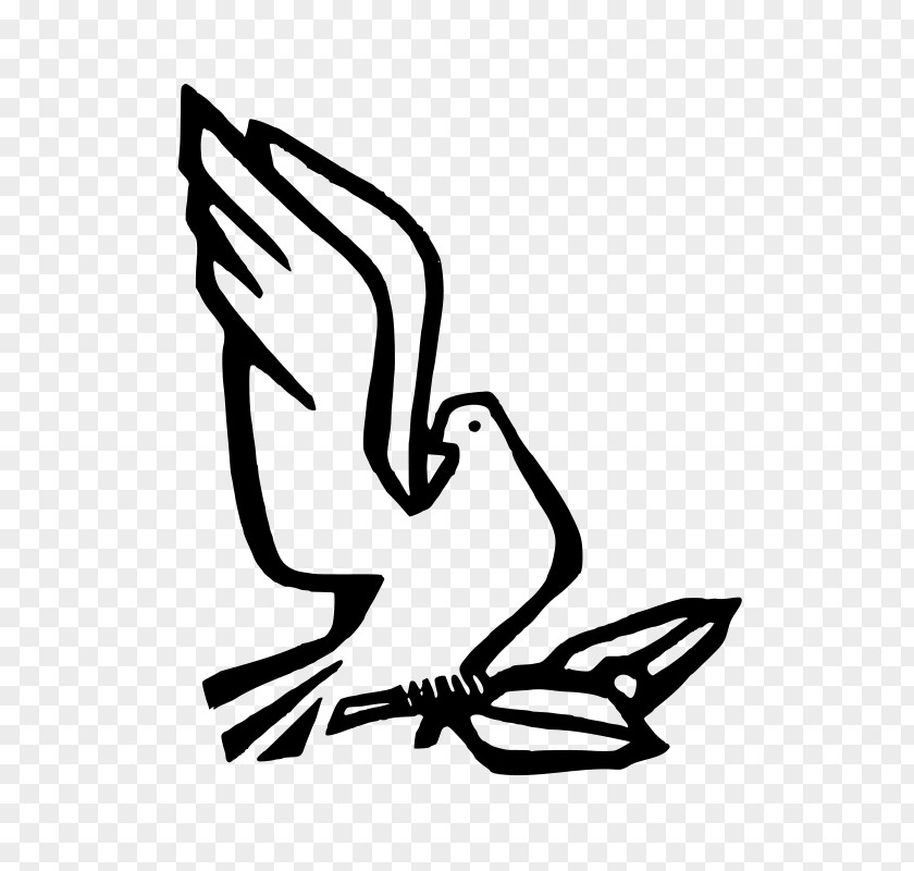Symbol Columbidae Doves As Symbols Drawing Clip Art PNG