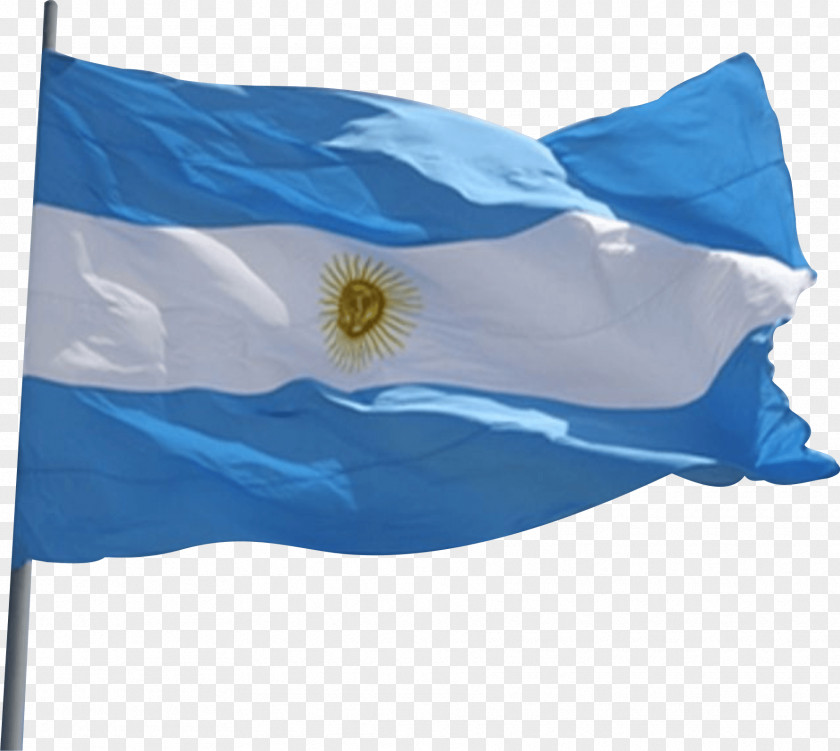 Bandera Argentina Veinte De Junio Flag Of Day Plaza Mayo PNG