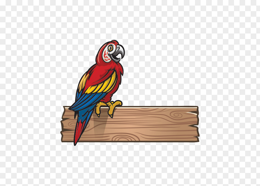 Bird Scarlet Macaw Parrot PNG