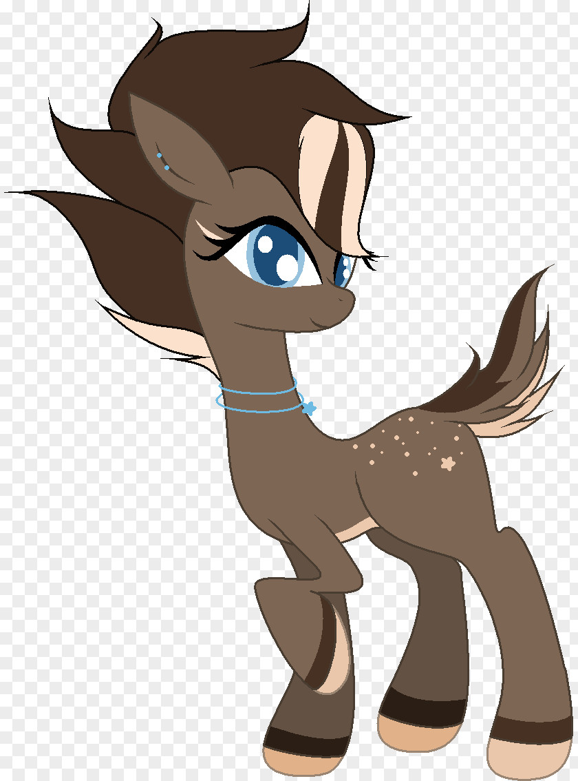 Cat Horse Canidae Dog PNG