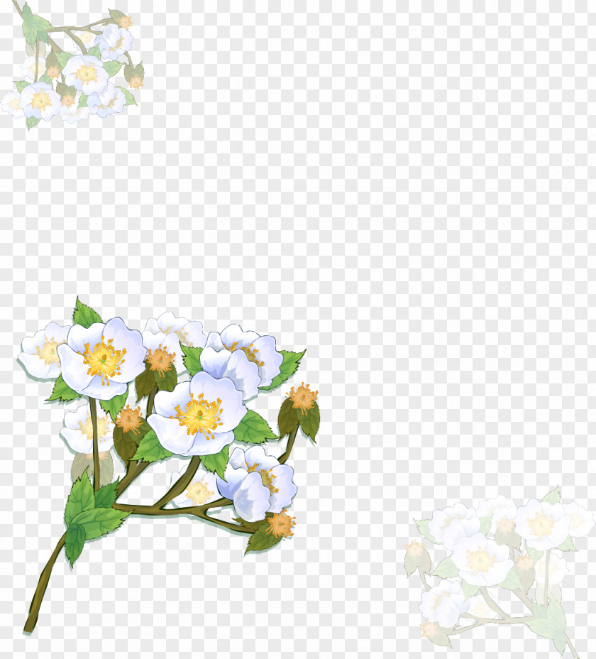 Flower Spring Picture Frames Photography Clip Art PNG