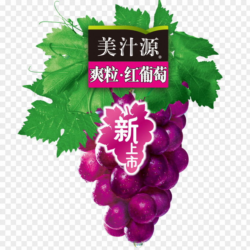 Its Grape Logo PNG