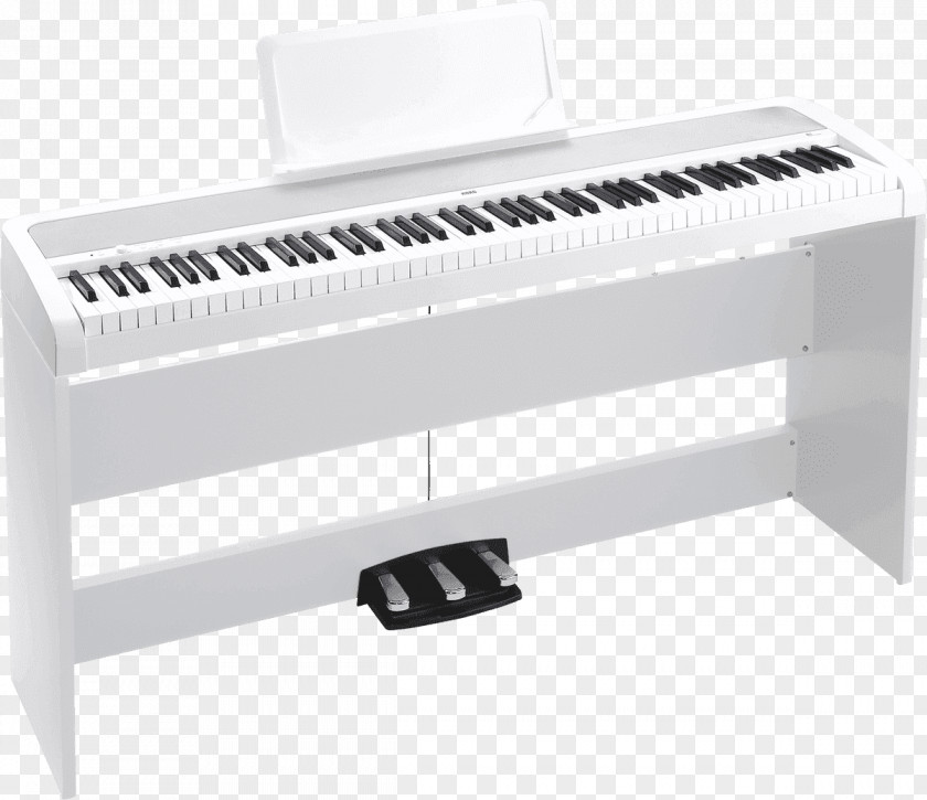 Keyboard KORG B1SP Digital Piano PNG