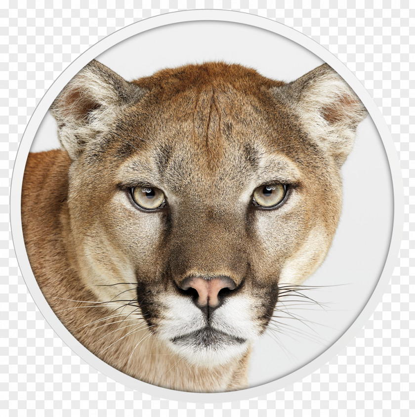 Lion Mac OS X Mountain MacOS Apple PNG