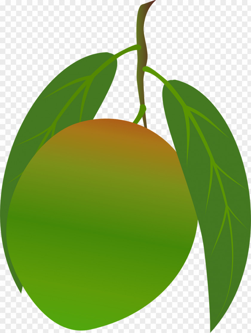 Mango Citrus Food Clip Art PNG