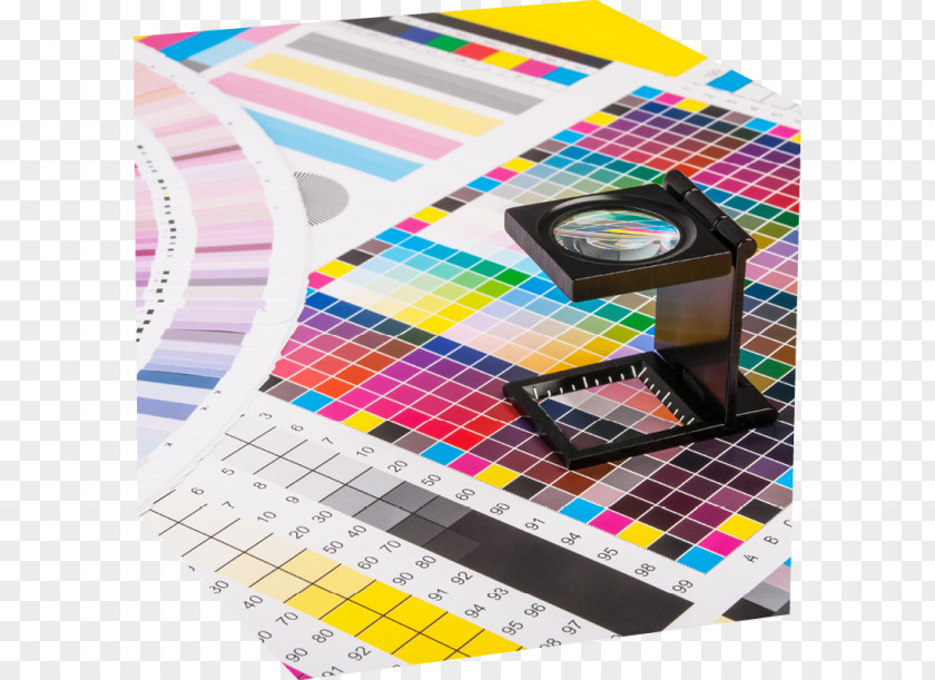 Marketing Color Management Printing Spot PNG