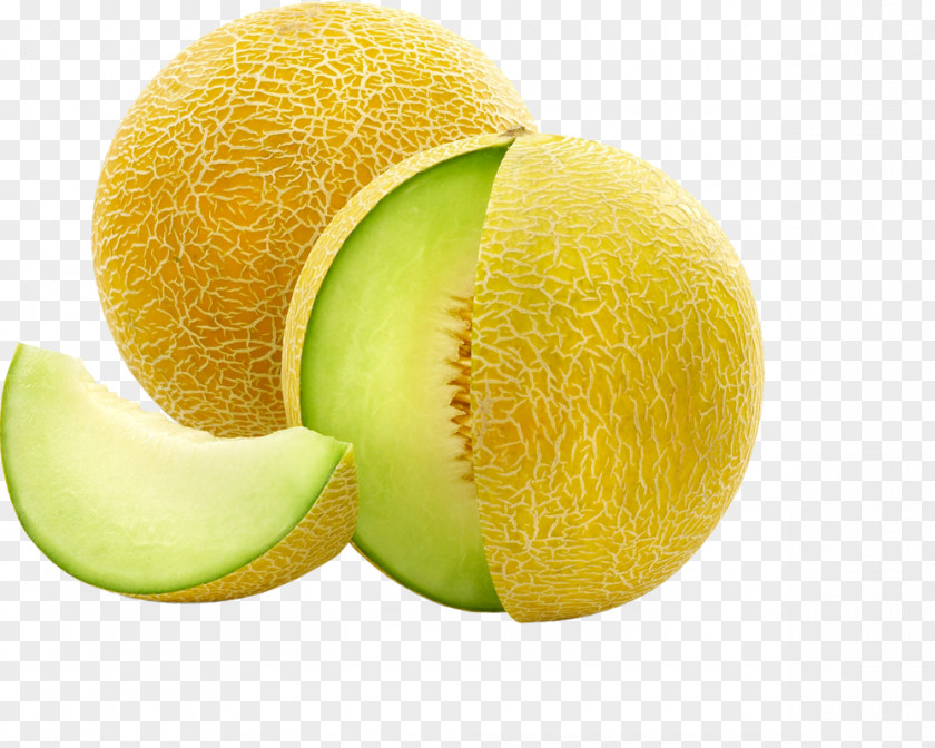 Melon Galia Cantaloupe Honeydew Canary PNG