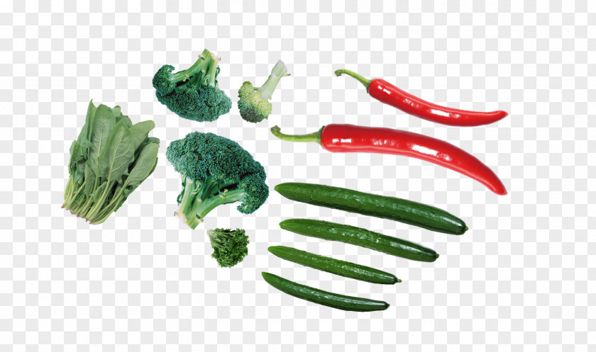 Vegetables Capsicum Annuum Vegetable Chili Pepper Vegetarian Cuisine PNG