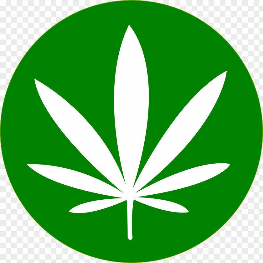 Cannabis Sativa Drawing Circle Clip Art PNG