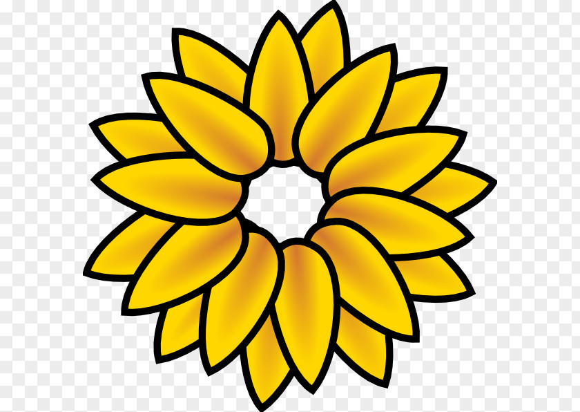 Flower Common Sunflower Coloring Book Seed PNG