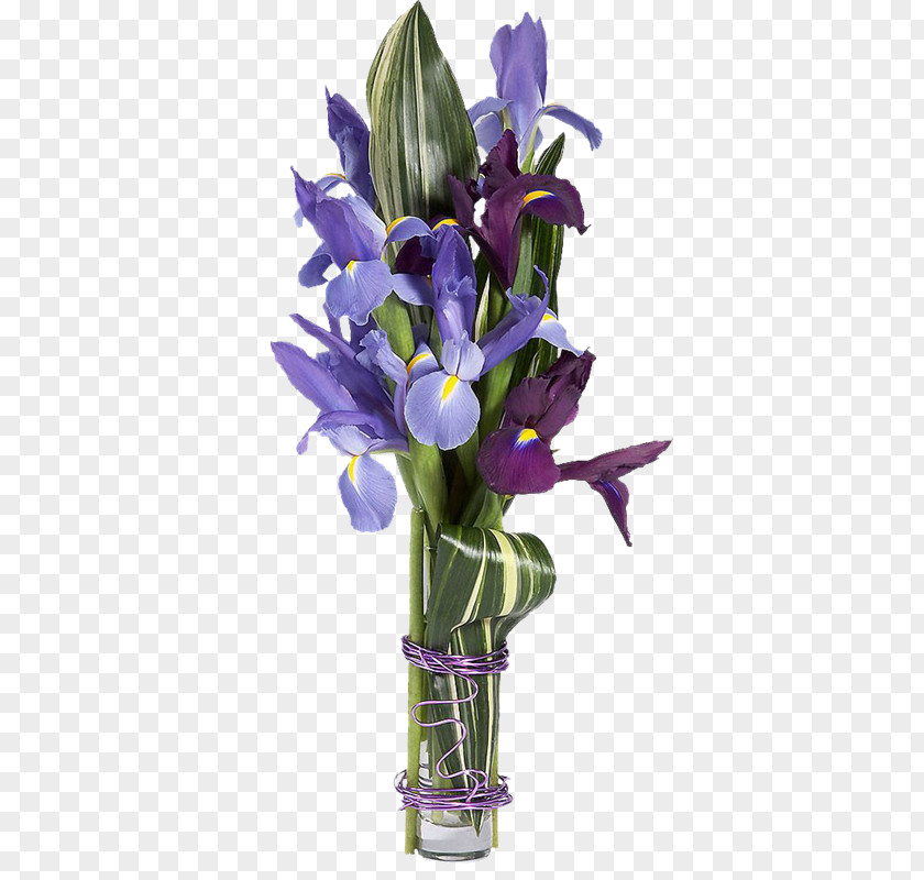 Iris Irises Floral Design Cut Flowers Flower Bouquet PNG