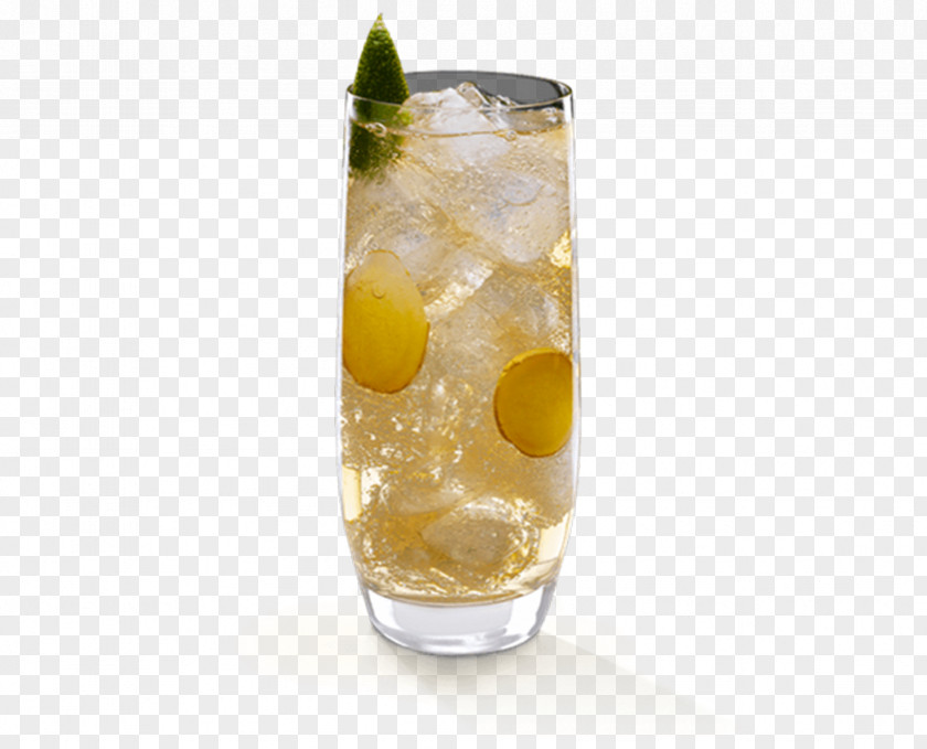 Lemon Grass Cocktail Vodka Tonic Sea Breeze Caipirinha PNG