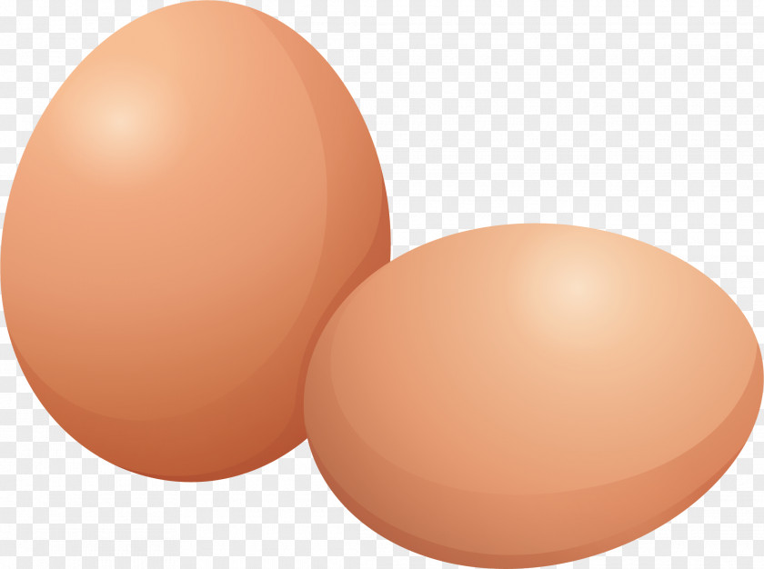 Two Fresh Eggs Chicken Egg Animation Illustration PNG