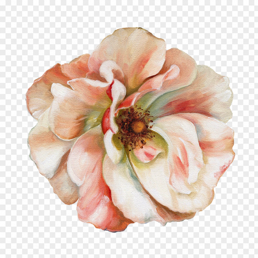 Audit Flower Painting Floral Design Art Still Life PNG