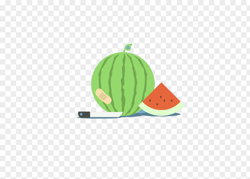 Flat Cartoon Watermelon Design Illustration PNG