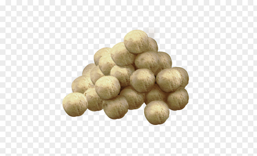 Macadamia PNG