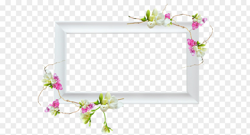 Pink And White Flowers Floral Design Window Picture Frames Clip Art PNG