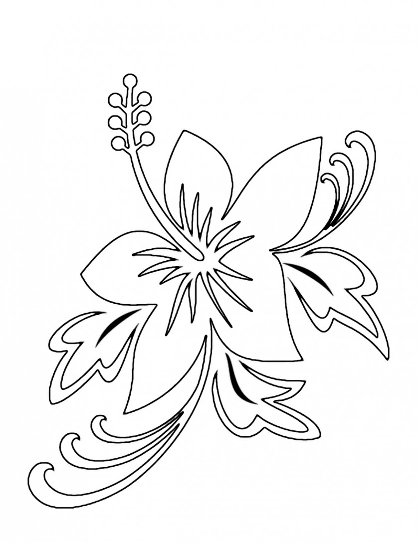 Tropical Flower Drawings Drawing Pencil Sketch PNG