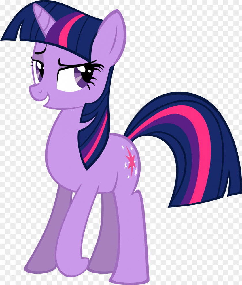 Twilight Sparkle Pony Pinkie Pie Applejack Rarity PNG