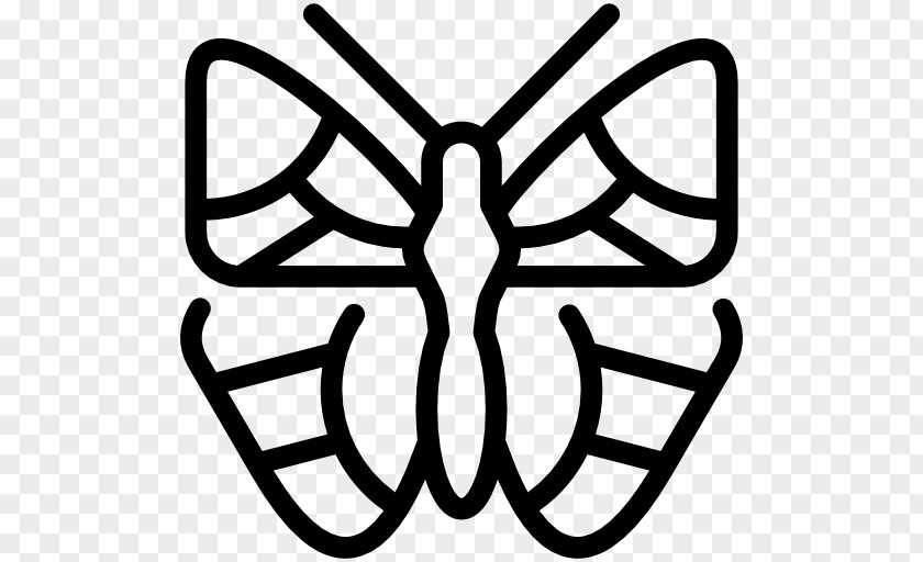 Butterfly Insect Moth PNG