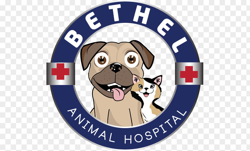 Dog Shot Schedule Vaccines Breed Bethel Animal Hospital Rucker Pet PNG