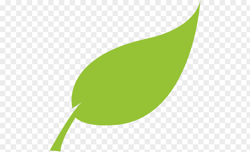 Environmental Consulting Soul Bowlz Natural Environment Issue Nature Leaf PNG