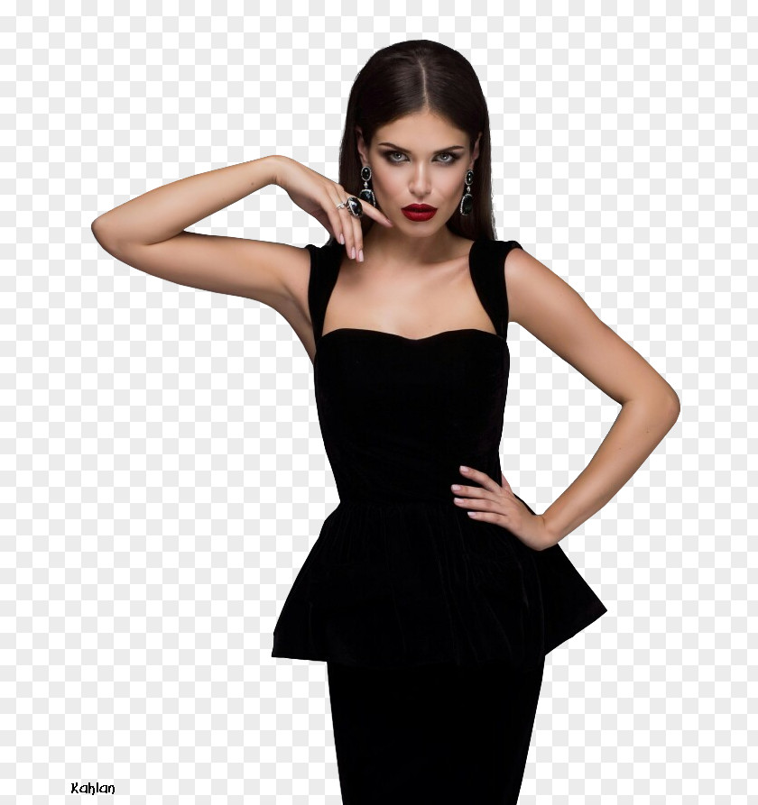 Fashion Design Polyvore Little Black Dress Chicken PNG