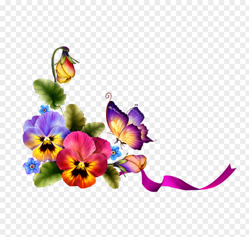 Flower Picture Frames PNG