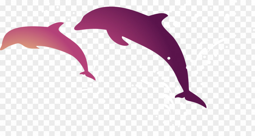 Jumping Dolphins Tucuxi Short-beaked Common Dolphin Android Wallpaper PNG