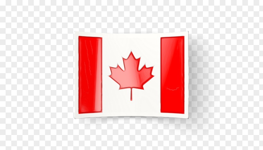 Logo Soapberry Family Canada Maple Leaf PNG