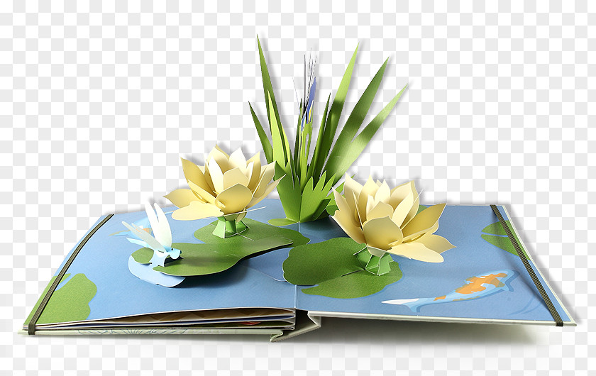 Pop Up Book Floral Design PNG