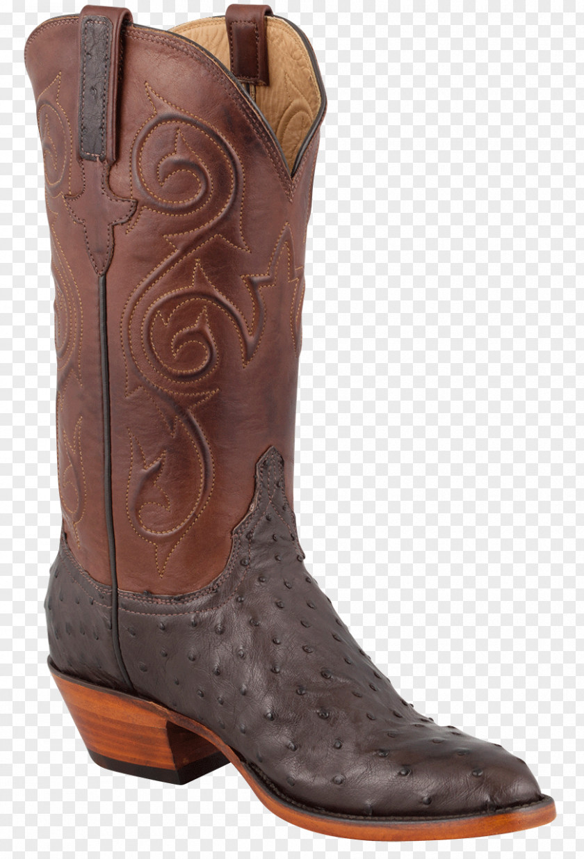 Puss In Boots Cowboy Boot Ariat Cavender's Leather PNG
