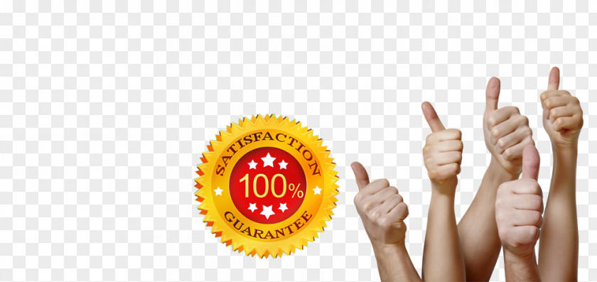 Satisfaction Guaranteed Racknet Web Hosting Services Content Organization 4shared PNG
