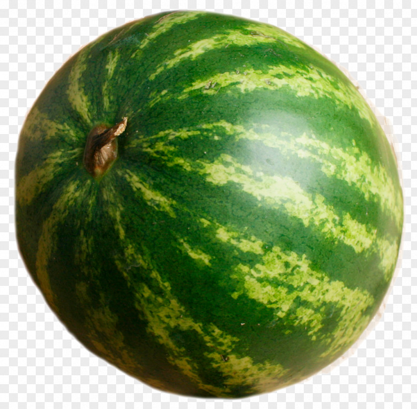 Watermelon Winter Squash Cucurbita Cucumis Food PNG