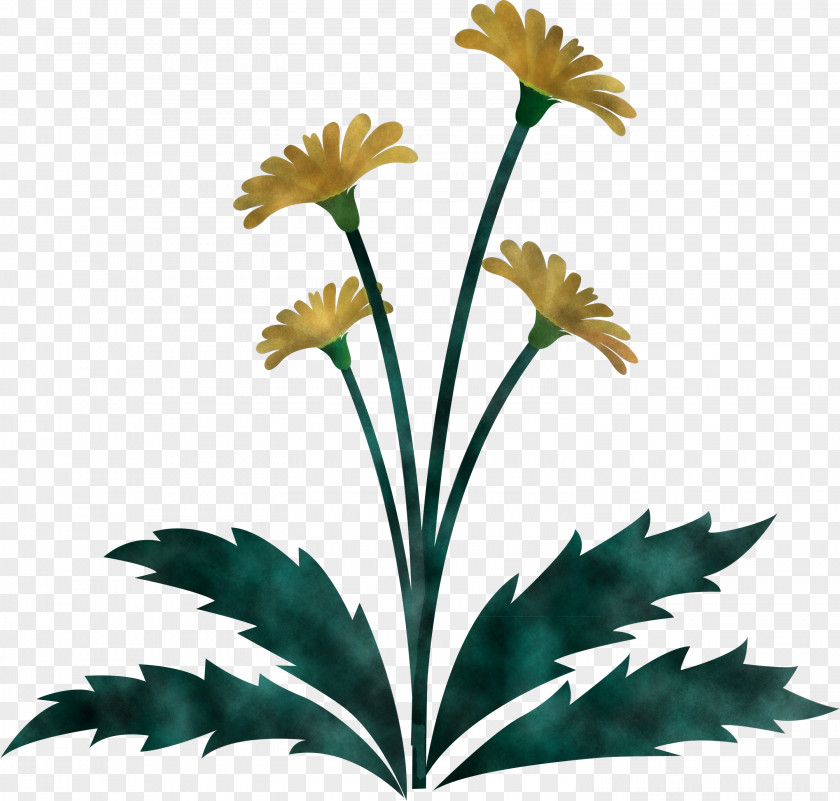 Dandelion Flower Easter Day Spring PNG