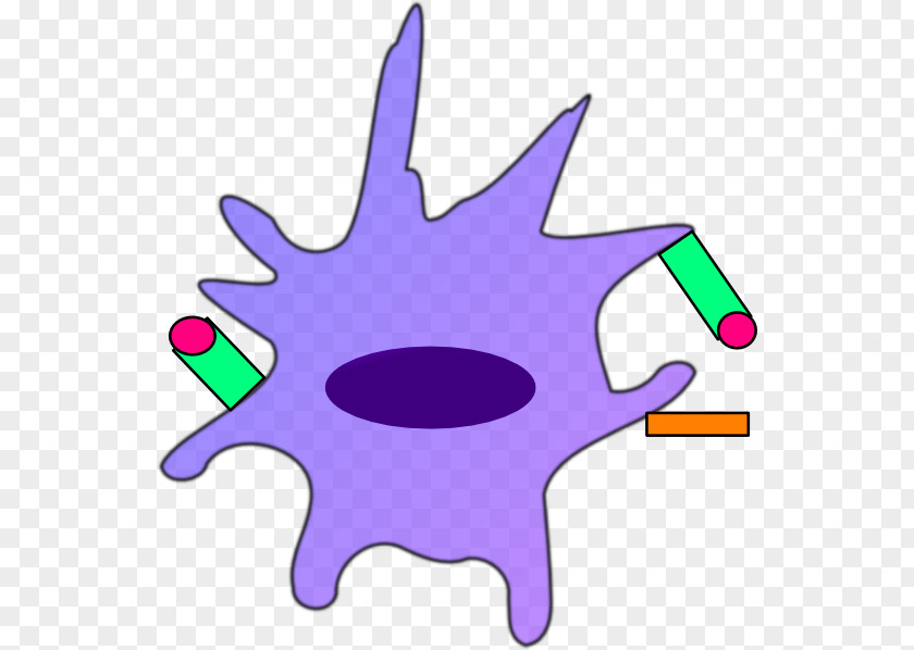 Dendritic Cell Dendrite Drawing Immune System Clip Art PNG
