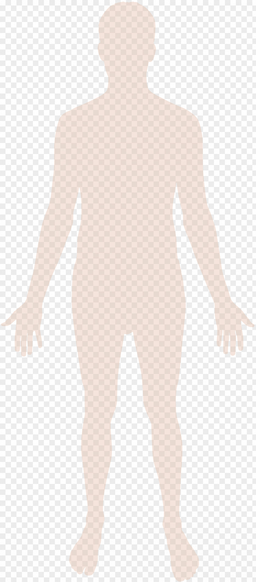 Human Body Silhouette Homo Sapiens Hand PNG