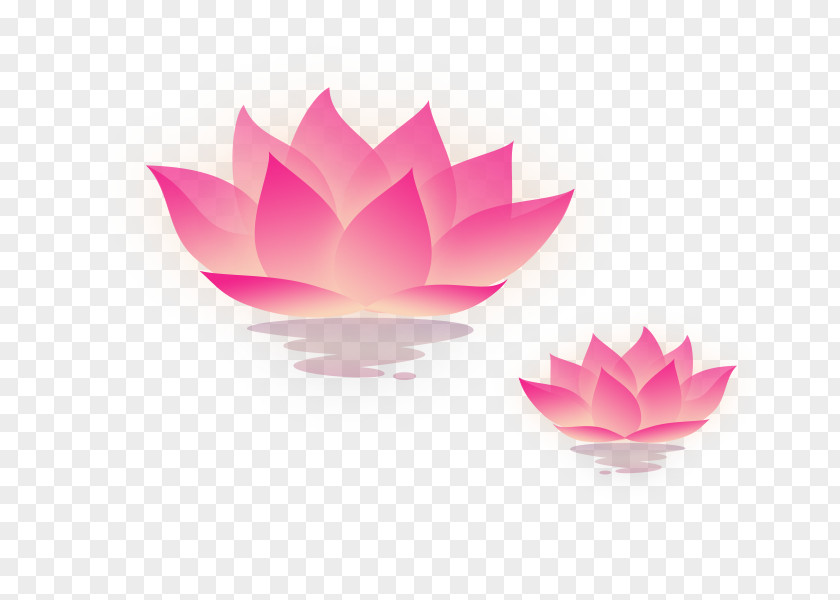 Lotus Water Mooncake Mid-Autumn Festival Lantern PNG