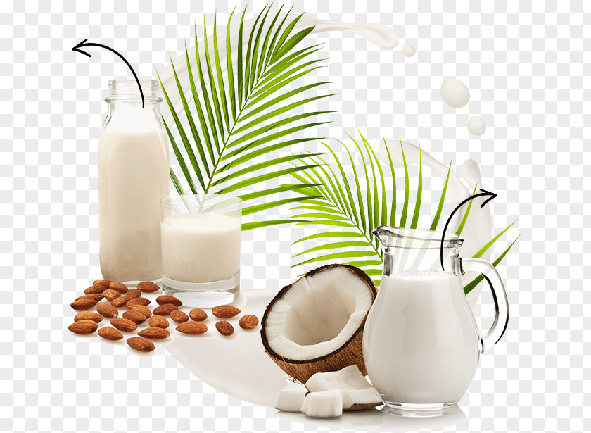 Milk Plant Almond Coconut Water PNG