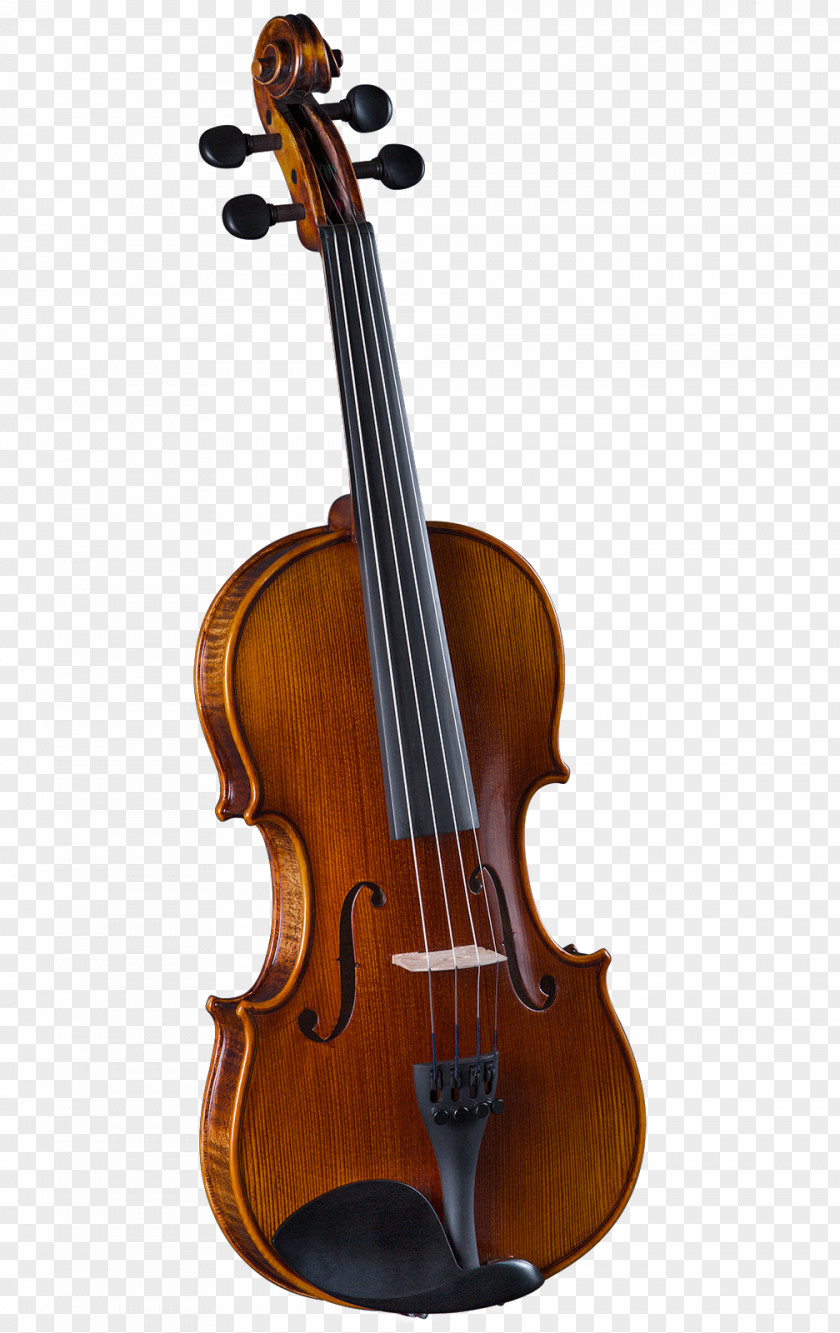 Violin Cremona Chinrest Musical Instruments String PNG