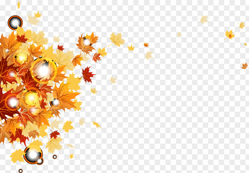 Autumn Leaves Vector Stock Photography Clip Art PNG