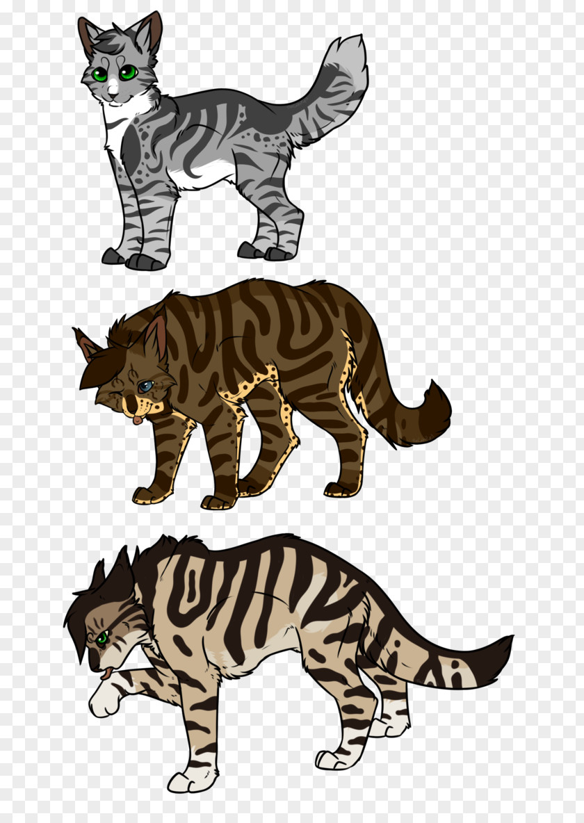 Cat Wildcat Tiger Art Warriors PNG