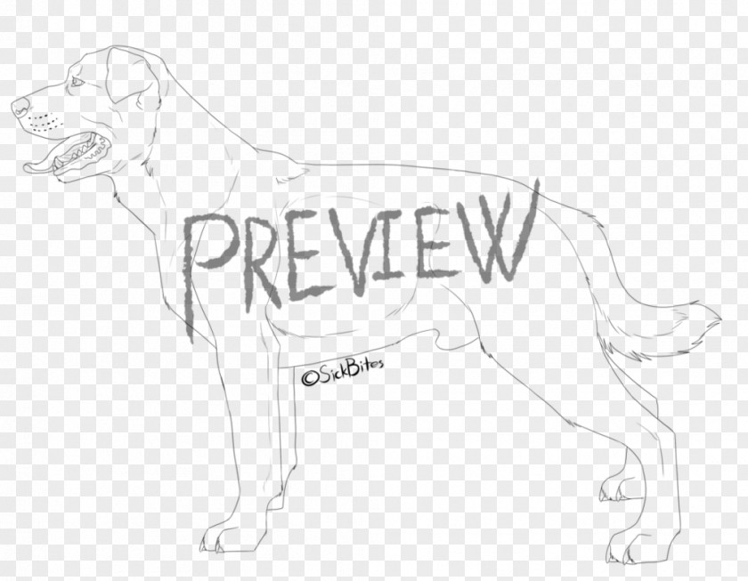 Dog Breed Drawing White Sketch PNG