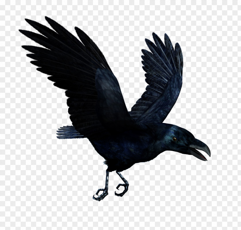 Raven Flying HD T-shirt Hoodie Lower-back Tattoo PNG