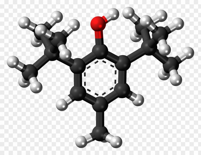 Blood Supply Internal Capsule Organic Chemistry Reaction Mechanism Chemical Inorganic Compound PNG