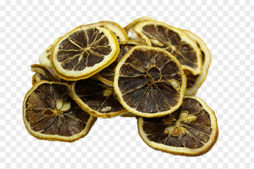 Dried Lemon Slices Fruit Orange Stock.xchng PNG