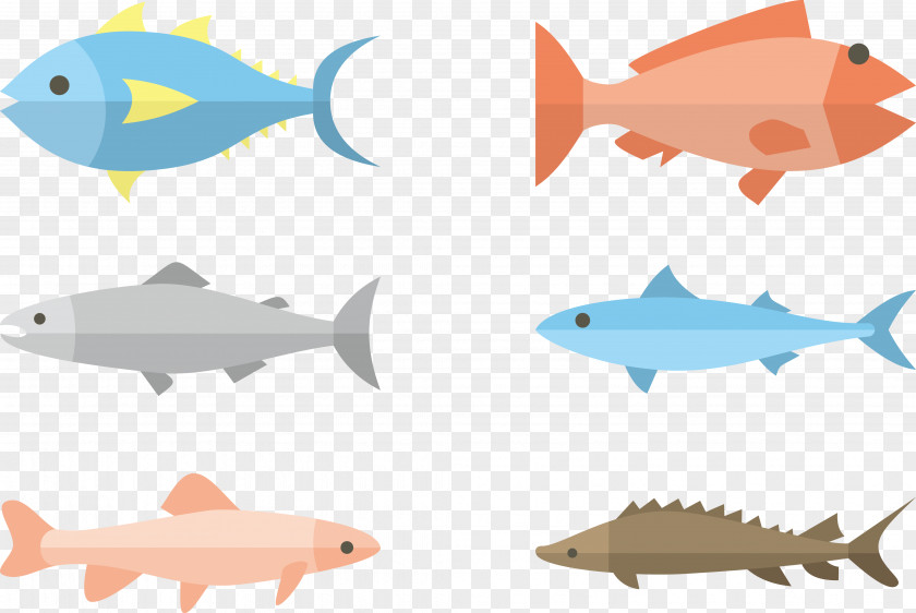Flat Fish Vector Illustration Design PNG
