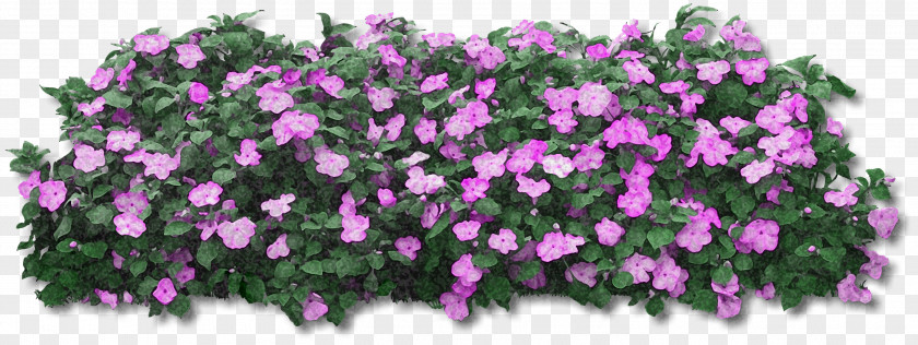 Flower Rendering PNG