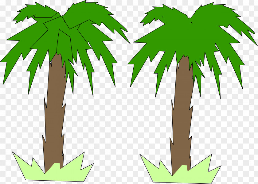 Palm Tree Arecaceae Two-dimensional Space Clip Art PNG